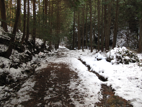 20140211hike (293)
